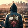 Anmol's profile picture