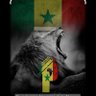 Фото профиля TARKINDA 🇸🇳🇧🇪🇨🇵♥️💙