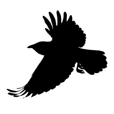 crrow777's profile picture