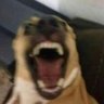 Ege's profile picture