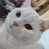 Hatice D. profil fotoğrafı