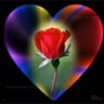 Abdellah Mounir 的头像