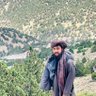 محمود حازم profil fotoğrafı
