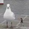 jjyyd profil fotoğrafı