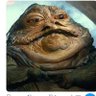 Stoopiderest™'s profile picture