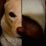 Benjamin Skeleton's profile picture