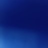 習維尼's profile picture