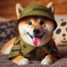 Schrödingers Fella 的头像