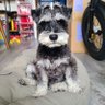 けいちゃん's profile picture
