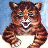 Ñoki the Kat's profile picture