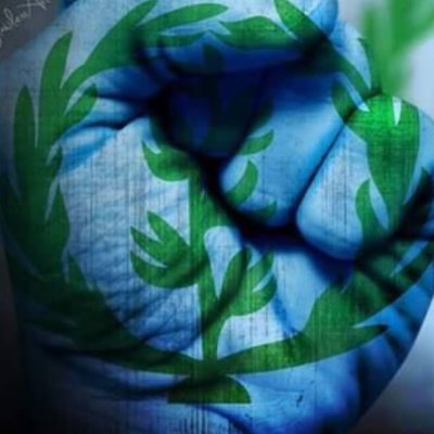 campaigner71's profile picture