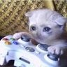 Purrbida's profile picture