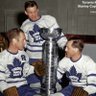 Nice Leaf Fan's profile picture