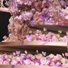 Фото профиля Firdous 🥀
