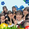 球辞苑familyに入りたい's profile picture