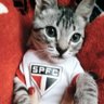 soso profil fotoğrafı