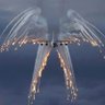 Flares On Wing's profile picture