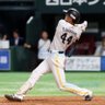 まる's profile picture