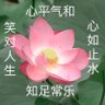Фото профиля 那我懂你意思了