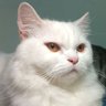 Sunny's profile picture