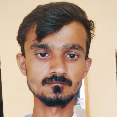 Dileep Balasiya's profile picture