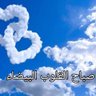 Profilbild von أسامة المضري