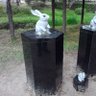 もふもふ 的头像