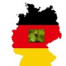 PaffeHannes🇩🇪❎️💪✌️Döp Dödö Döp's profile picture