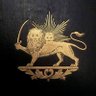 surena1285(2)'s profile picture