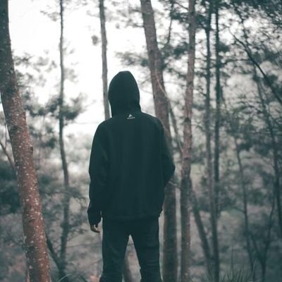 tiantianzeliya2's profile picture