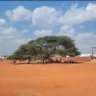 Profilbild von Abdirizak_M