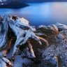 Фото профиля Stephen Mwaura