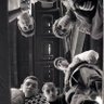 Фото профиля jacob