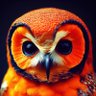 Фото профиля PortokalisKoukkoufkiaos