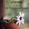 Vedat Usta's profile picture