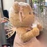♡ ℳ𝓎 ℳ𝓊𝓈𝑒 ♡'s profile picture