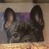 Profilbild von Duca3650