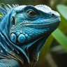 Фото профиля IGUANA🦎