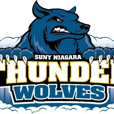 NiagaraTwolves's profile picture