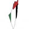 جويرية's profile picture