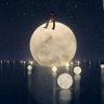 ghost_budy's profile picture
