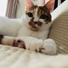 木山 佳紀 profil fotoğrafı