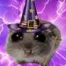 atom's profile picture