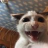 Profilbild von Tom