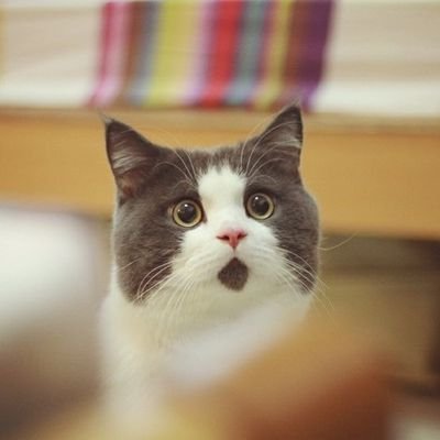 Soomin's profile picture