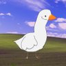 Random goose profil fotoğrafı
