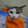 cik profil fotoğrafı