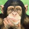 Ssava.K.Chrysostom's profile picture