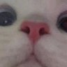 Profilbild von Dop4