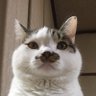 まりまり's profile picture